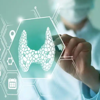 Schilddrüsen Reha und Schilddrüsen Hormone: Arzt betrachtet digitale Grafik