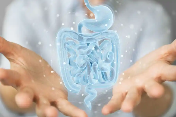 Gastroenterologische Reha in Bayern: Grafik des Magen-Darm-Traktes Gastroenterologische Reha in Bayern: Grafik des Magen-Darm-Traktes
