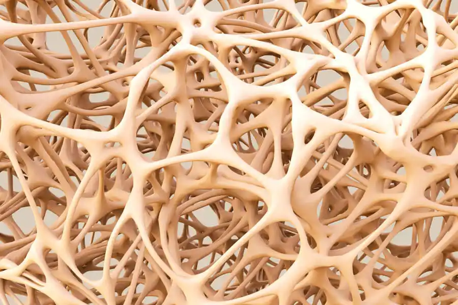 Osteoporose Reha und Knochen Stoffwechsel: Gewebe grafisch dargestellt Osteoporose Reha und Knochen Stoffwechsel: Gewebe grafisch dargestellt