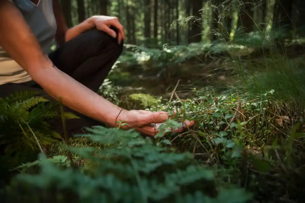 Waldbaden als Reha Therapie in Bayern: Frau berührt den Waldboden