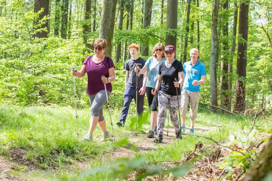 Reha-Therapie: Nordic Walking im Wald